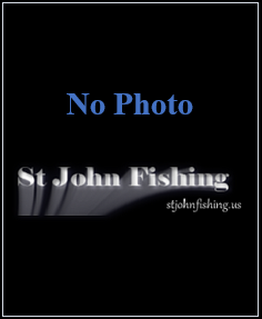  nophoto.png 